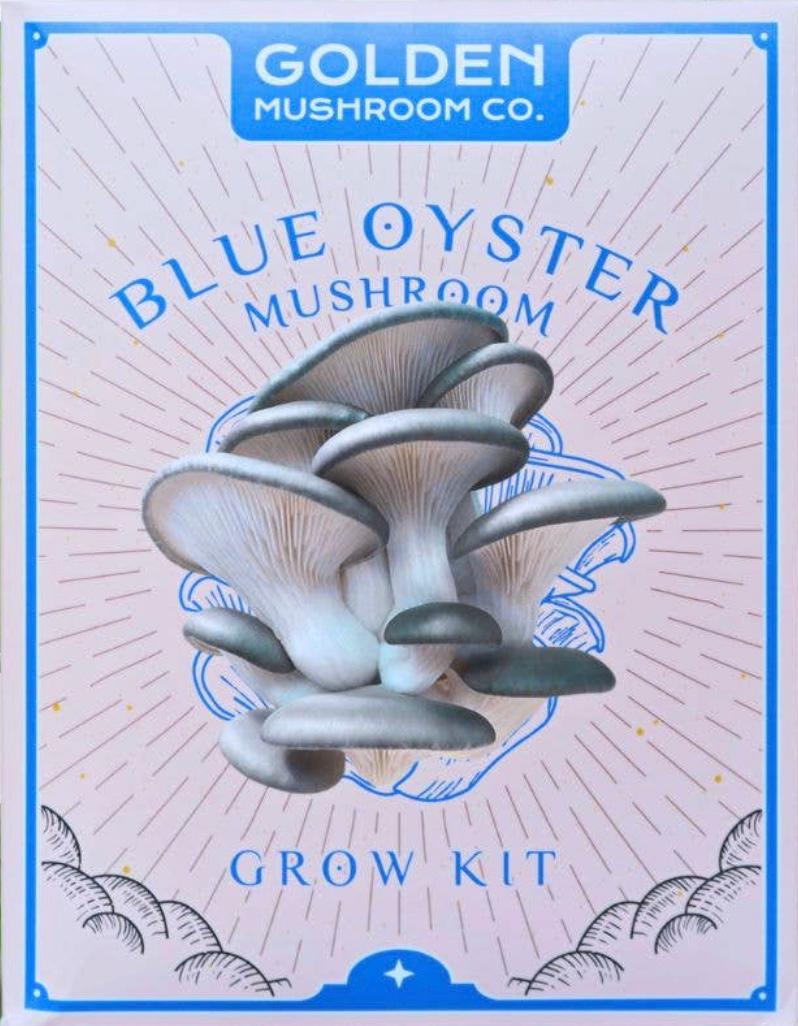 Blue Oyster Kit
