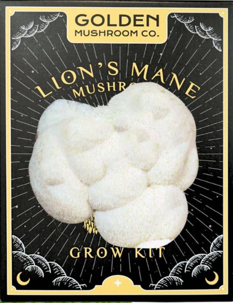 Lion's Mane Kit