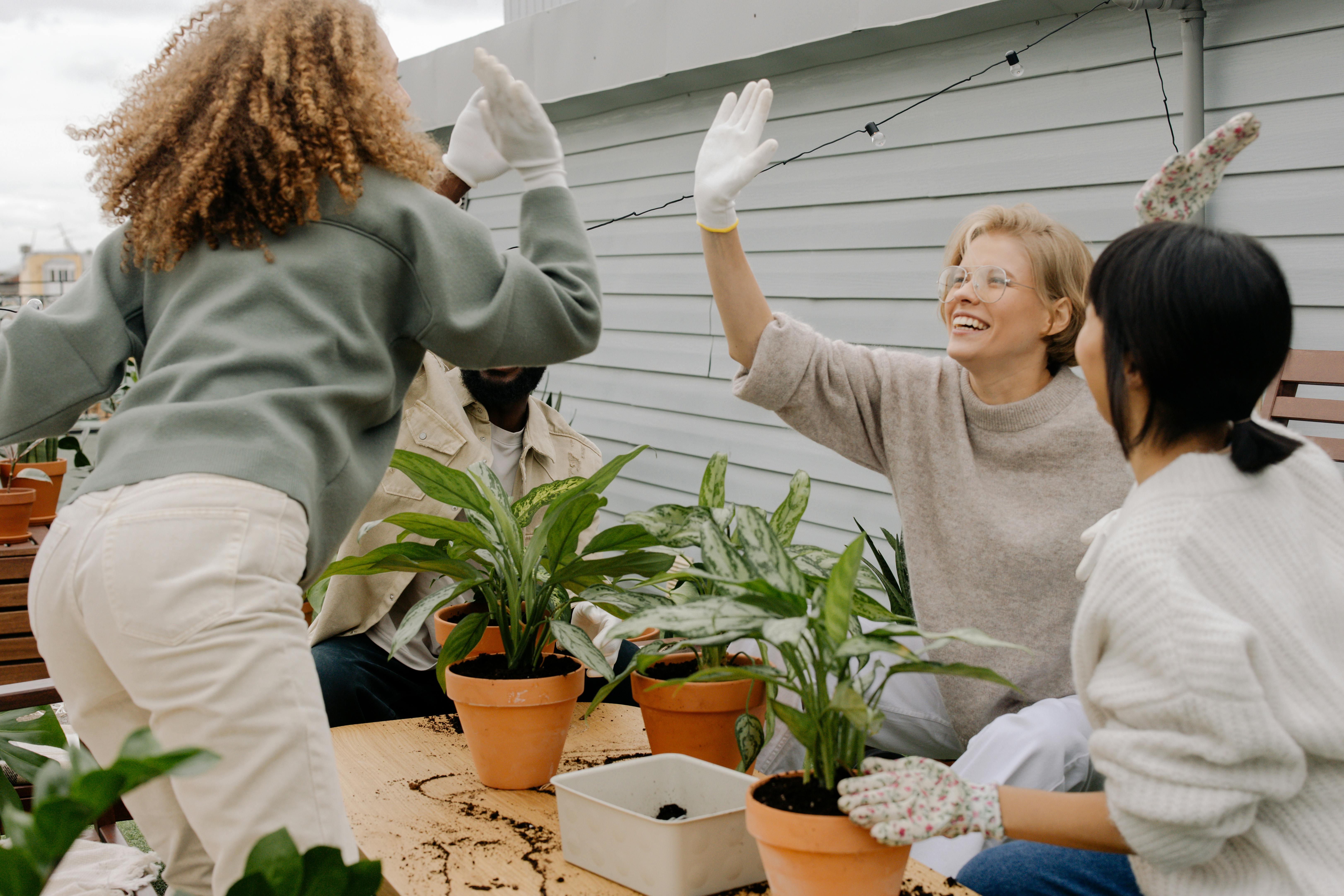 Vibrant plant community